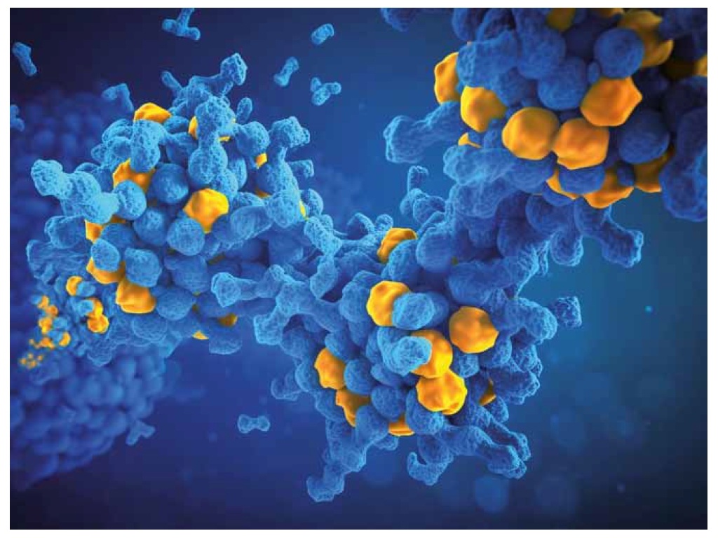 Health in code imagen