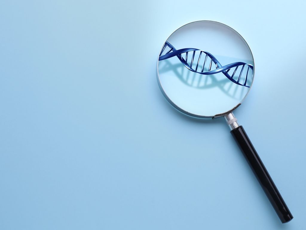genetica
