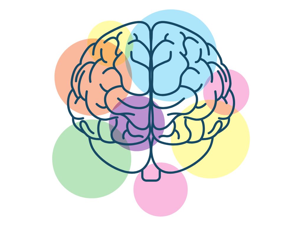 cerebro