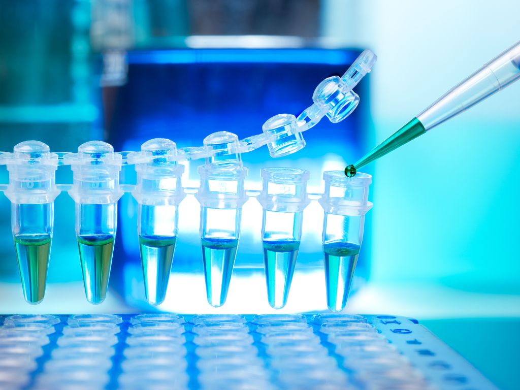 pcr