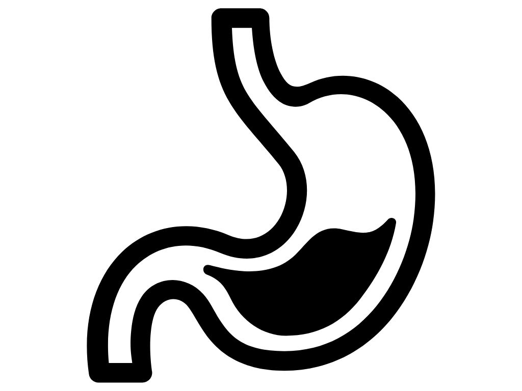 digestivo