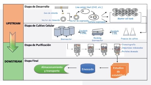 Aplicaciones de la espectrometría de masas al análisis de ...